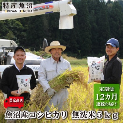 【毎月定期便】農家直送!魚沼産コシヒカリ(無洗米)5kg全12回