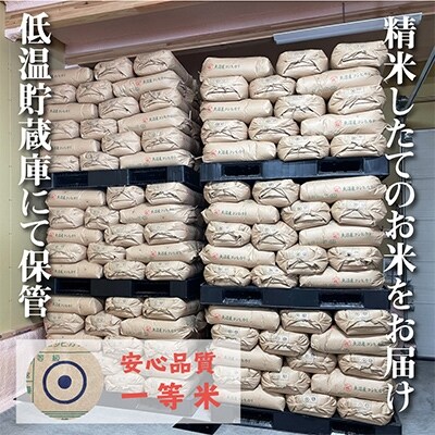 2022年9月発送開始『定期便』農家直送!魚沼産コシヒカリ　精米5kg　全3回