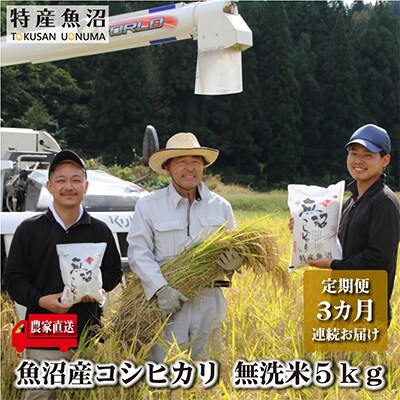 2023年3月発送開始『定期便』【農家直送】魚沼ブランド推奨認定コシヒカリ 無洗米5kg 全3回