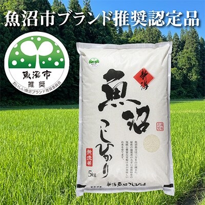 2022年9月発送開始『定期便』【農家直送】魚沼ブランド推奨認定コシヒカリ　無洗米5kg　全5回