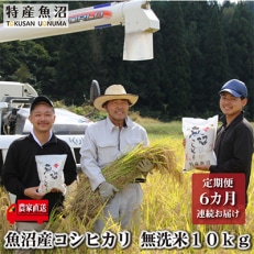 2024年1月発送開始『定期便』魚沼産コシヒカリ無洗米10kg(5kg×2袋)【特産魚沼】全6回