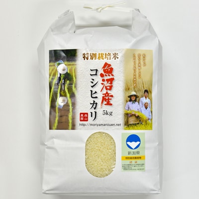 【令和6年産】森山農園特別栽培米魚沼産コシヒカリ(新潟県認証)5kg×2