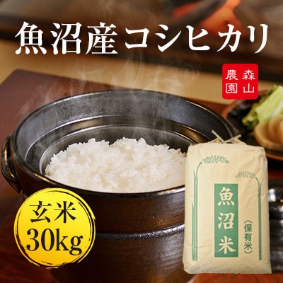 令和8年産森山農園魚沼産コシヒカリ玄米30kg