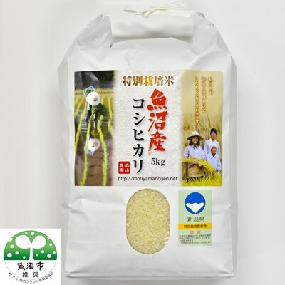 2022年5月発送開始『定期便』森山農園 特別栽培米 魚沼産コシヒカリ5kg　全2回