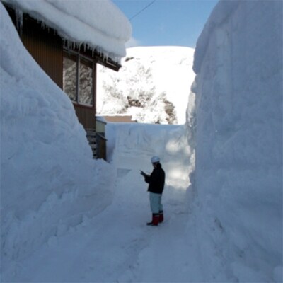 ふるさと見張り番(年4回見回りコース)