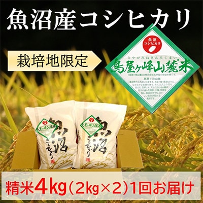 令和7年産【魚沼コシヒカリ】鳥屋ヶ峰山麓米 4kg (精米2kg×2袋)