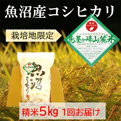 令和7年産【魚沼コシヒカリ】鳥屋ヶ峰山麓米 5kg (精米5kg×1袋)