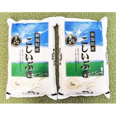 【令和4年産 新米先行受付】【魚沼産】こしいぶき10kg(5kg×2)どんなおかずにも合う万能米!