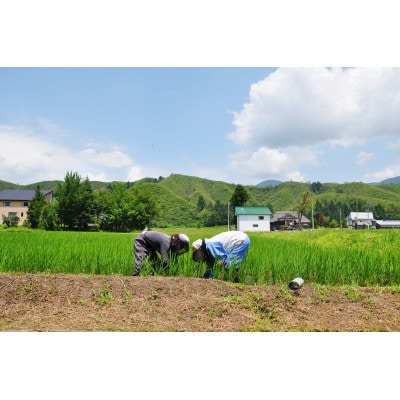 【令和5年産】魚沼産コシヒカリ精米3kgずつ『天下一』VS『雪米』登録商標のお米対決!