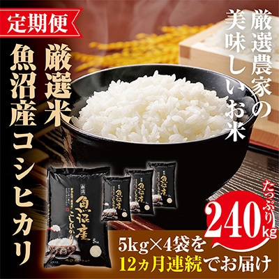 【毎月定期便】【魚沼「厳選」コシヒカリ】旨い飯におかずはいらない精米20kg全12回