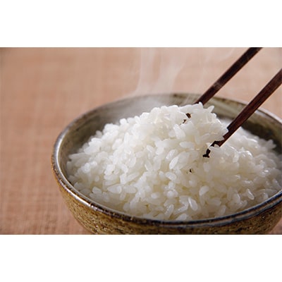 【毎月定期便】魚沼産コシヒカリ精米『雪米YUKIMAI』3kg雪の国から～全10回