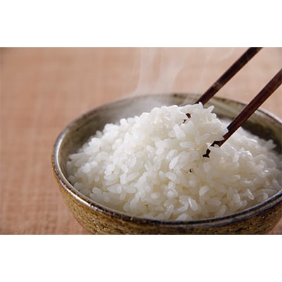 【毎月定期便】【魚沼産】天下一コシヒカリ 精米5kg 全10回