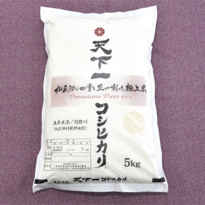 【毎月定期便】天下一コシヒカリ(精米)5kg全6回