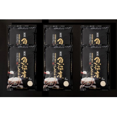 【毎月定期便】【魚沼「厳選」コシヒカリ】旨い飯に おかずはいらない 30kg(5kg×6)全10回