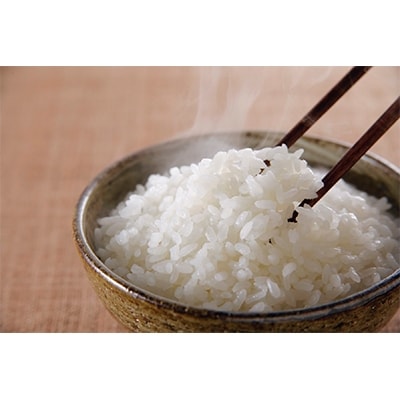 2021年3月発送開始『定期便』魚沼産つきあかり　精米5kg　全6回