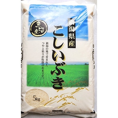 2021年4月発送開始『定期便』魚沼産こしいぶき　精米5kg　全12回