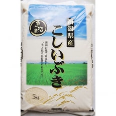 2023年5月発送開始『定期便』【魚沼産】「こしいぶき5kg」どんなおかずも相性の良い万能米全4回