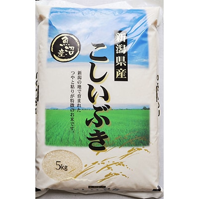 2023年3月発送開始『定期便』魚沼産「こしいぶき5kg」どんなおかずも相性抜群の万能米!全6回