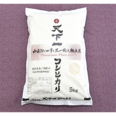 2023年5月発送開始『定期便』【魚沼産】　天下一コシヒカリ　精米5kg　全12回