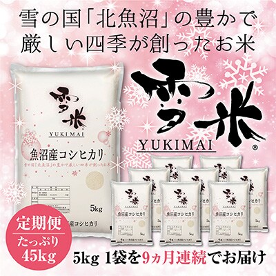 2023年10月発送開始『定期便』魚沼産コシヒカリ精米『雪米YUKIMAI』5kg雪の国から～全9回