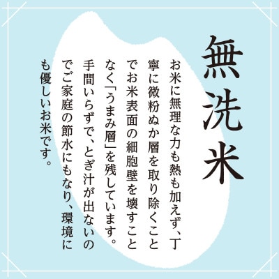 【令和5年産】雪室貯蔵米　魚沼産コシヒカリ無洗米2.5kg