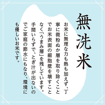 【毎月定期便】雪室貯蔵　魚沼産こしひかり無洗米(白米)2.5kg全3回
