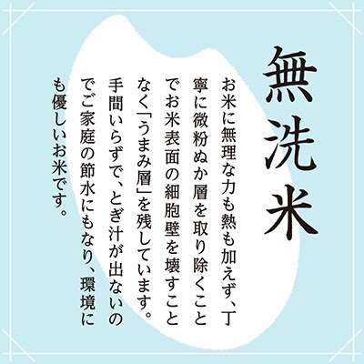 【毎月定期便】雪室貯蔵　魚沼産こしひかり無洗米(白米)5kg全3回