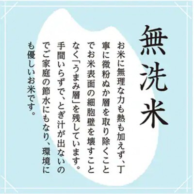 【毎月定期便】【雪室貯蔵米】魚沼産コシヒカリ(無洗米)10kg全3回