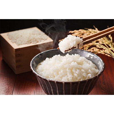 2023年7月発送開始『定期便』雪室貯蔵　魚沼産こしひかり無洗米　2.5kg　全12回