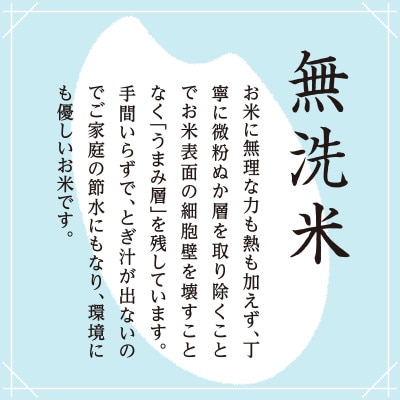 2023年12月発送開始『定期便』雪室貯蔵　魚沼産コシヒカリ無洗米　10kg全12回