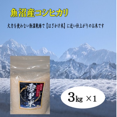 【令和7年産】生産者直送!魚沼産コシヒカリ【雪里米(ふるさとまい)】(精米)3kg