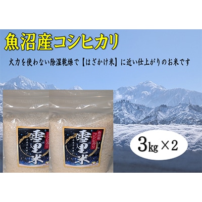 【令和6年産】生産者直送!魚沼産コシヒカリ【雪里米(ふるさとまい)】(精米)3kg×2