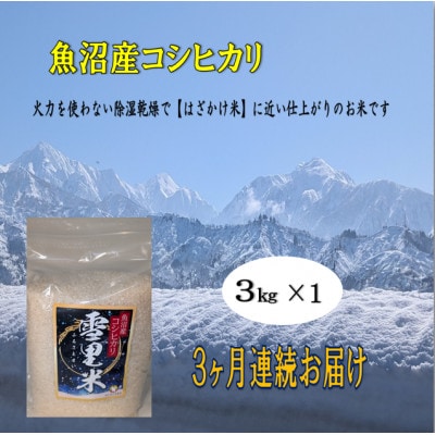 【毎月定期便】生産者直送!魚沼産コシヒカリ雪里米(ふるさとまい) 精米 3kg全3回
