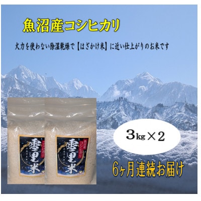 【毎月定期便】生産者直送!魚沼産コシヒカリ雪里米(ふるさとまい) 精米 3kg×2袋全6回