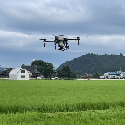 【毎月定期便】生産者直送!魚沼産コシヒカリ雪里米(ふるさとまい)精米3kg全6回