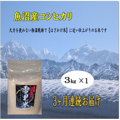 【毎月定期便】生産者直送!魚沼産コシヒカリ雪里米(ふるさとまい)精米3kg全3回