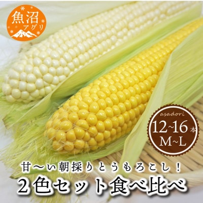 魚沼産 朝採り　とうもろこし　2色食べ比べセット　12～16本