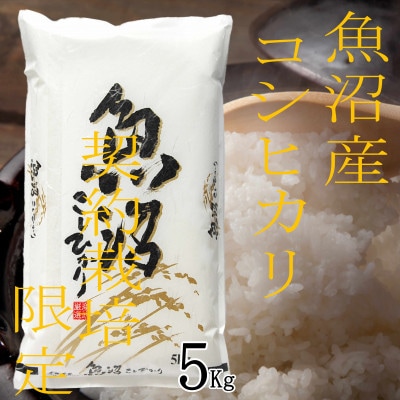 【雪国逸品 精米5kg】越後魚沼郷 魚沼産コシヒカリ