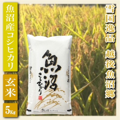 「令和6年産」【雪国逸品 玄米5Kg】越後魚沼郷 魚沼産コシヒカリ