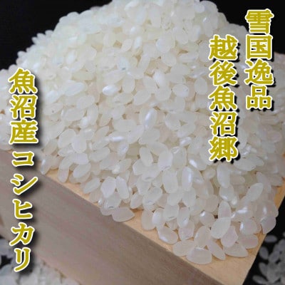 雪国逸品 《無洗米》2kg　越後魚沼郷 魚沼産コシヒカリ