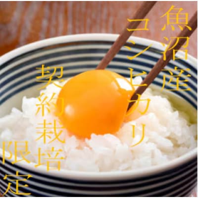【令和8年産　先行受付】【雪国逸品　精米2kg】越後魚沼郷　魚沼産コシヒカリ
