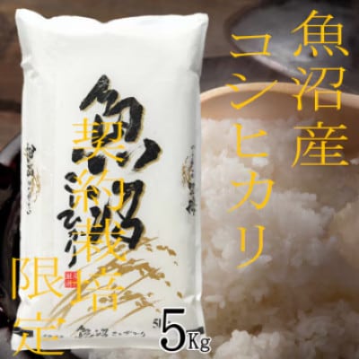 【令和8年産　先行受付】【雪国逸品　精米5kg】越後魚沼郷　魚沼産コシヒカリ