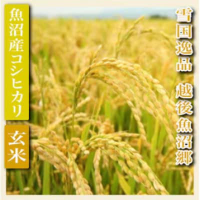 【令和8年産　先行受付】【雪国逸品　玄米2kg】越後魚沼郷　魚沼産コシヒカリ