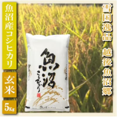 【令和8年産　先行受付】【雪国逸品　玄米5kg】越後魚沼郷　魚沼産コシヒカリ