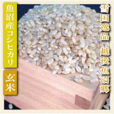 【令和8年産　先行受付】【雪国逸品　玄米5kg】越後魚沼郷　魚沼産コシヒカリ
