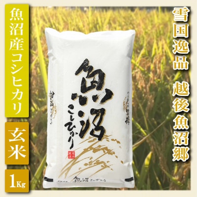 【雪国逸品 玄米1kg】越後魚沼郷 魚沼産コシヒカリ