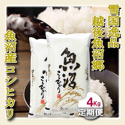【毎月定期便】【雪国逸品 精米4kg】越後魚沼郷 魚沼産コシヒカリ 全12回