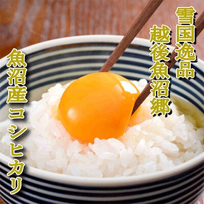 【毎月定期便】【雪国逸品 精米4kg】越後魚沼郷 魚沼産コシヒカリ 全12回