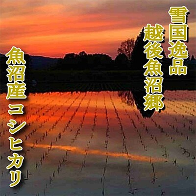 【毎月定期便】【雪国逸品 精米15kg】越後魚沼郷 魚沼産コシヒカリ 全3回