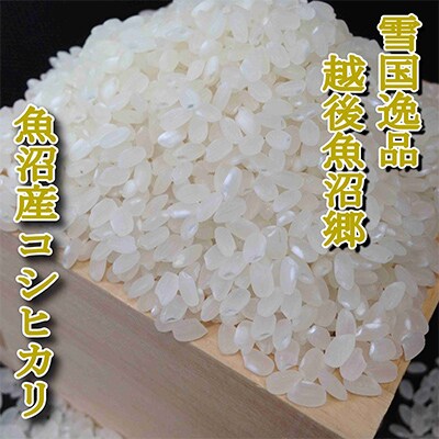 【毎月定期便】【雪国逸品 精米20kg】越後魚沼郷 魚沼産コシヒカリ 全3回